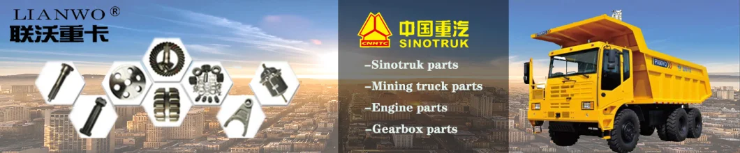 Sinotruk HOWO Truck Trailer Parts Exhaust Brake Switch Wg9719584116